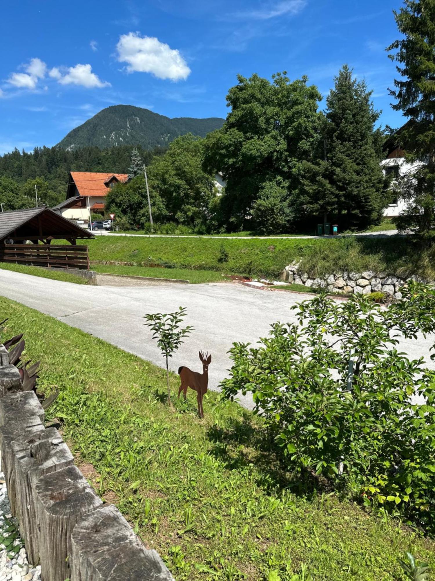 Apartmán Hisa Sreco Begunje na Gorenjskem Exteriér fotografie